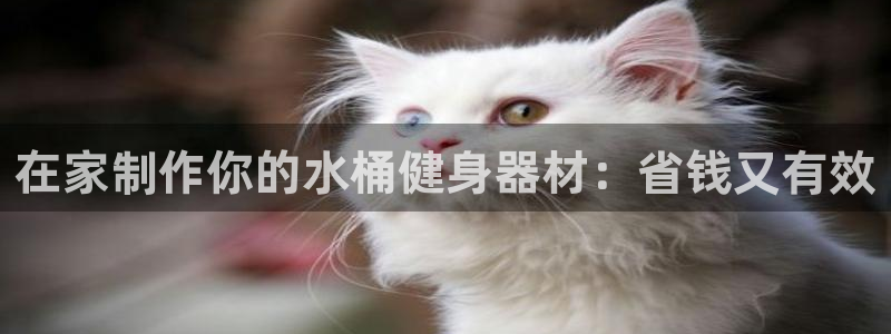 意昂体育3平台注册要钱吗是真的吗：在家制作你的水桶健
