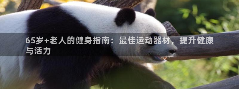 意昂体育3官方客服电话：65岁+老人的健身指南：最佳
