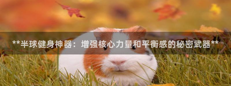 意昂3集团：**半球健身神器：增强核心力量和平衡感的