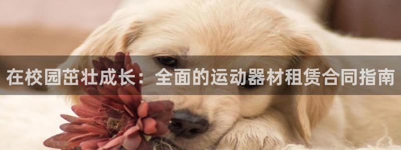 意昂3娱乐平台：在校园茁壮成长：全面的运动器材租赁合