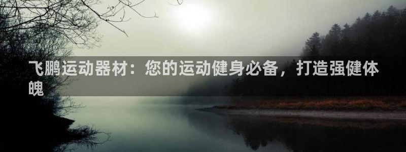 意昂3集团：飞鹏运动器材：您的运动健身必备，打造强健