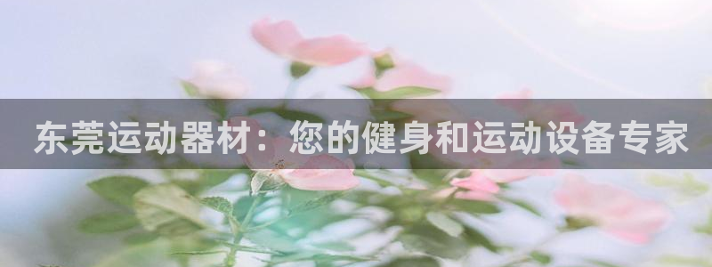 意昂体育3注册： 东莞运动器材：您的健身和运动设备专