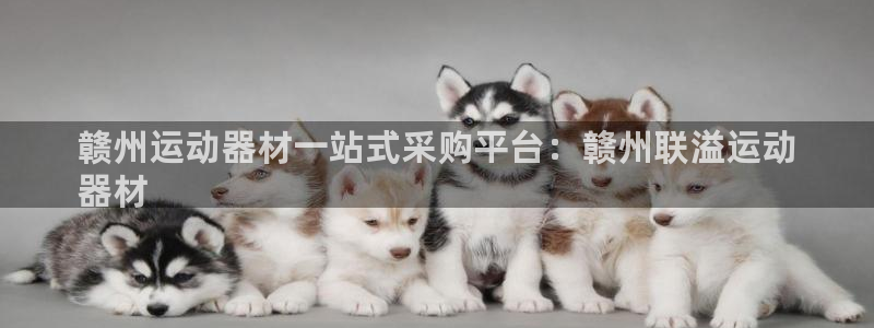 意昂3五金厂：赣州运动器材一站式采购平台：赣州联溢运