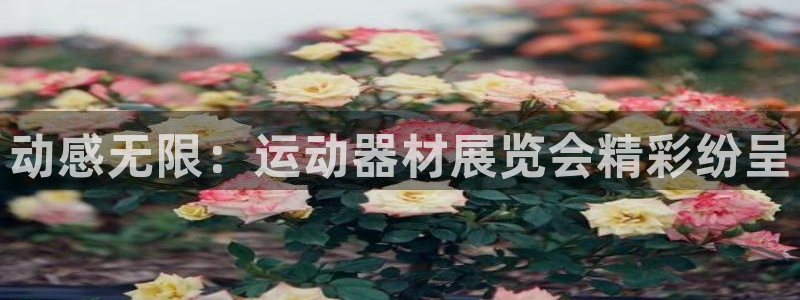 意昂体育3平台