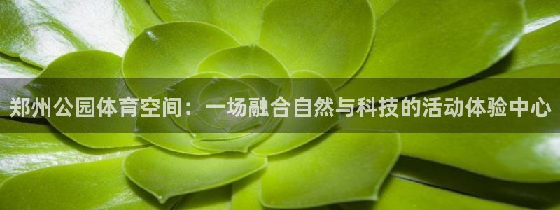 意昂体育3平台注册流程视频