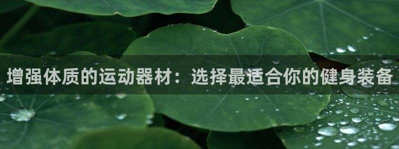 意昂体育3软件